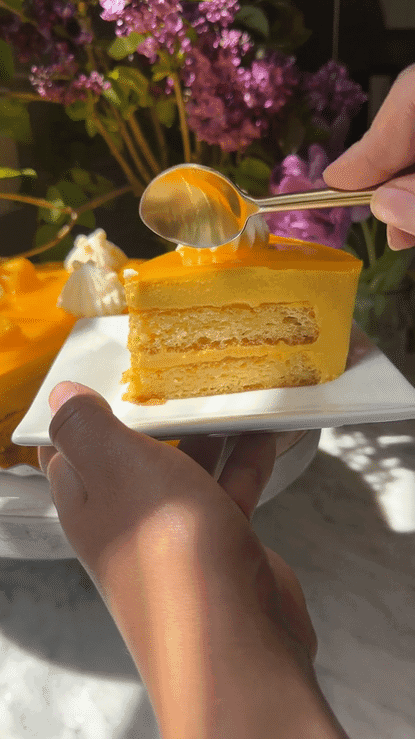 Image of mangomousse1